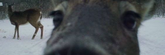 x3rox banner