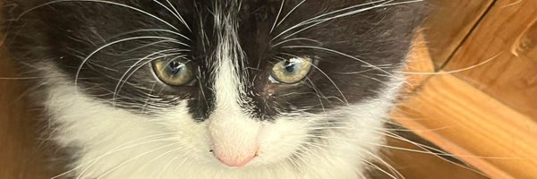 JournoJones05 Profile Banner