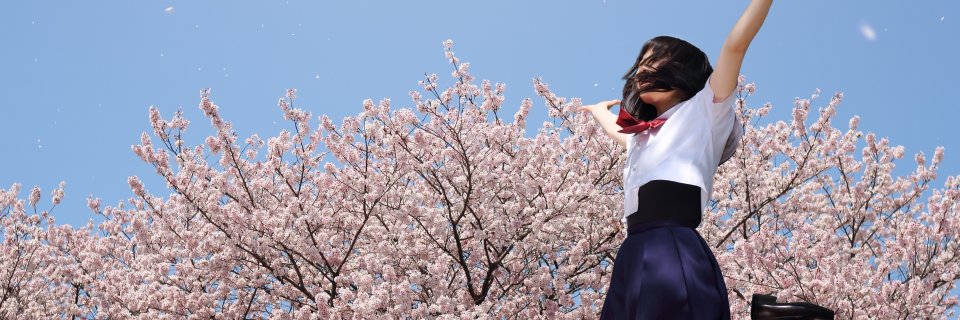 kane_yone's profile banner image