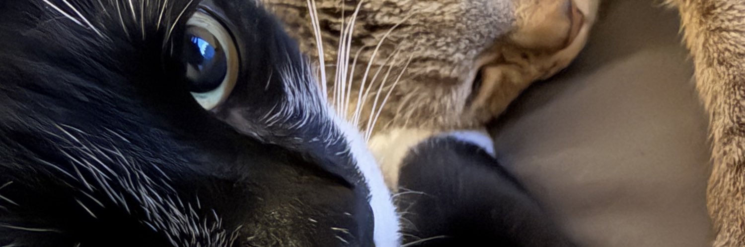 SunshineShawtyy's profile banner image