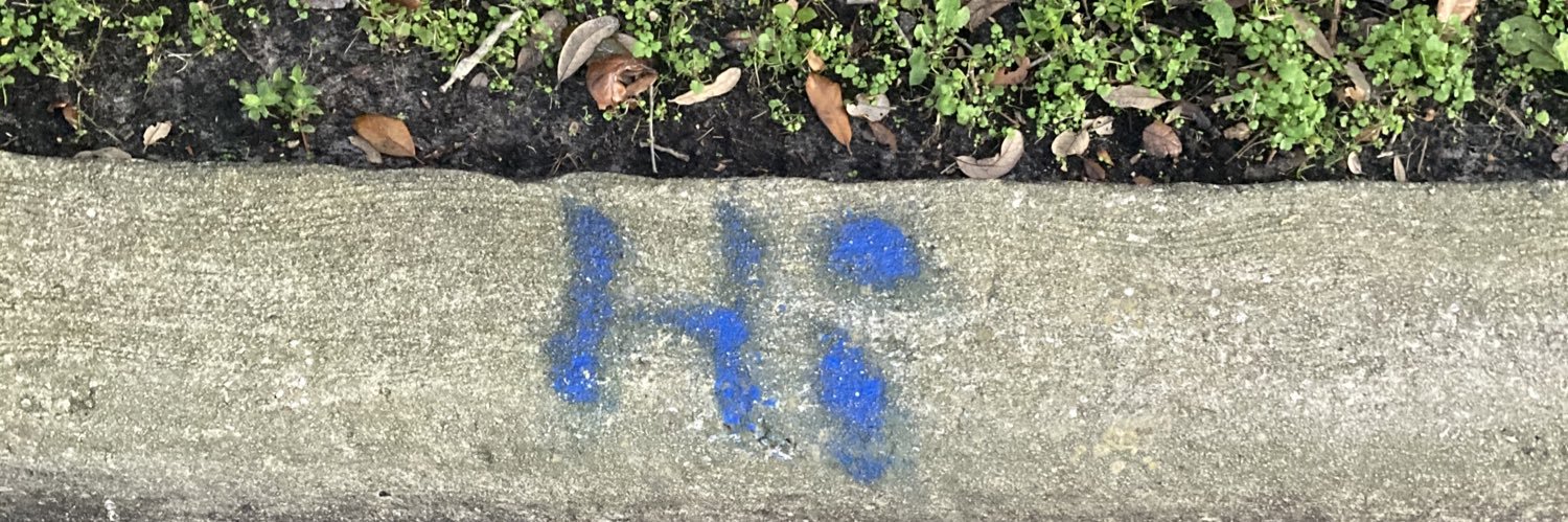 lolaisinhell's profile banner image