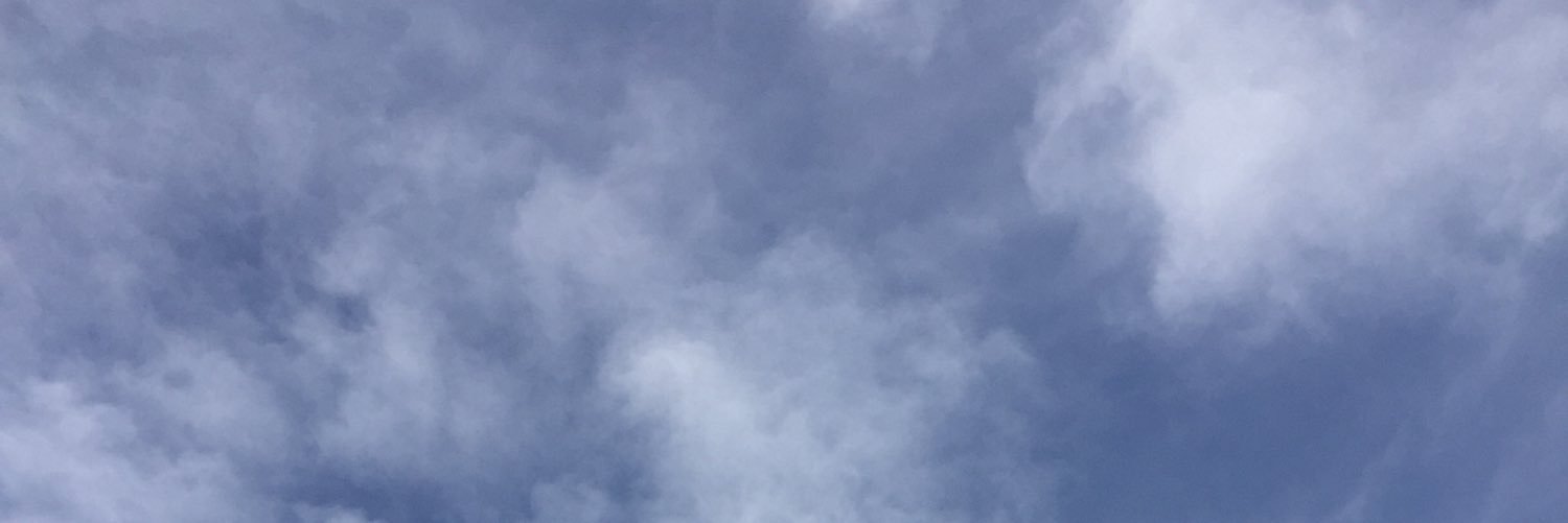 sallyejones's profile banner image