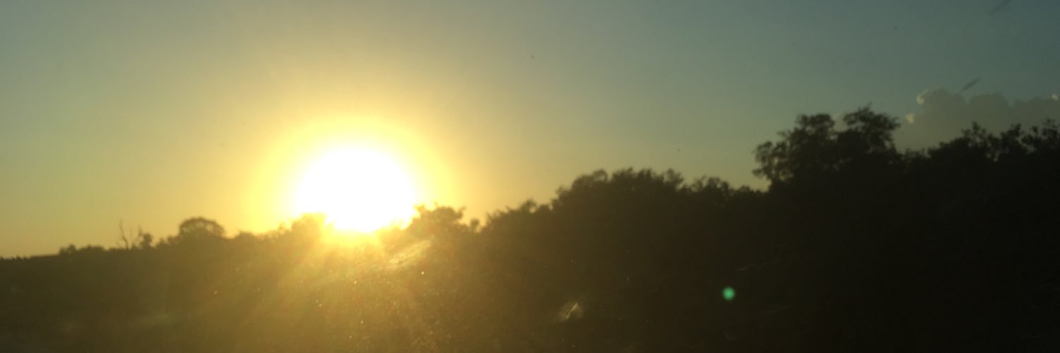 mgarza44's profile banner image