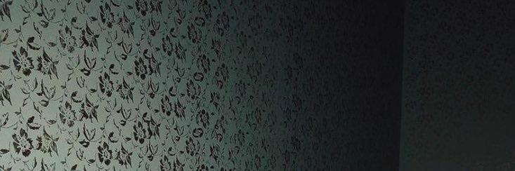 vee ♡‧₊˚ banner