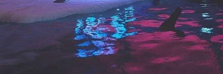 Little_Queen_J's profile banner image