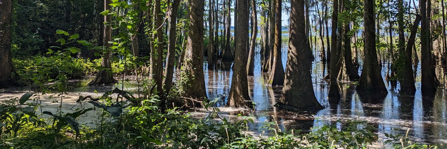 Crypto Plumbus banner