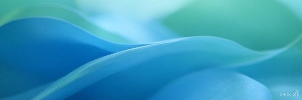 ONHealth Alliance banner