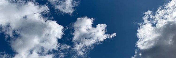 canvastriple's profile banner image