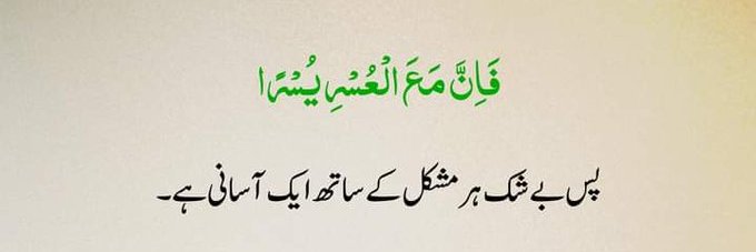 Dr. М.N. Malik banner