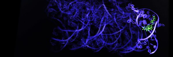 Magnetic_Megan Profile Banner