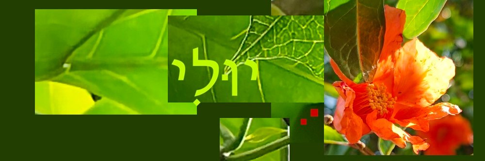 EFRAGL's profile banner image