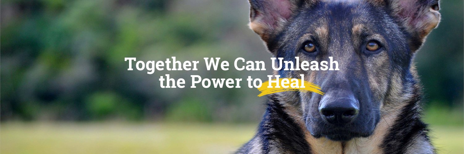 Guardian Angels banner