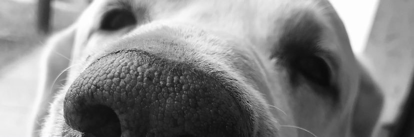 Tami_Gallo's profile banner image