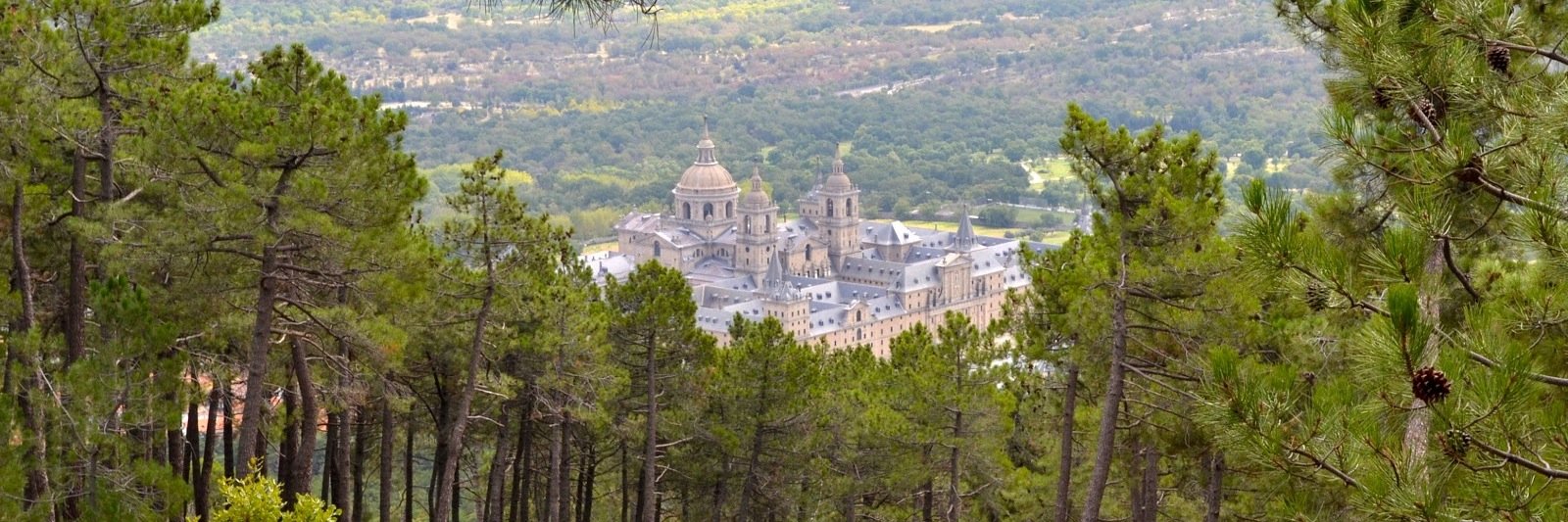 Maribel Abradelo banner