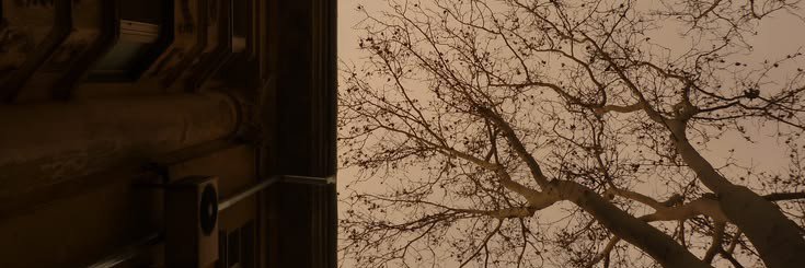 Ancestrry's profile banner image