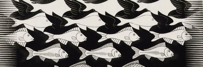 TreeBirdFish's profile banner image