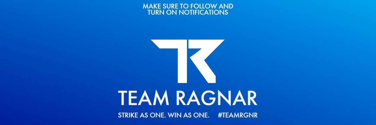 Team Ragnar banner