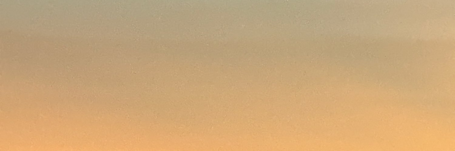 Gabriel Fuentes banner