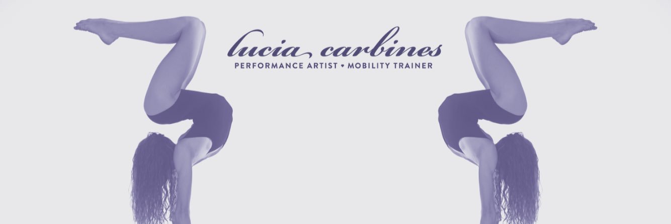 LuciaCarbines's profile banner image