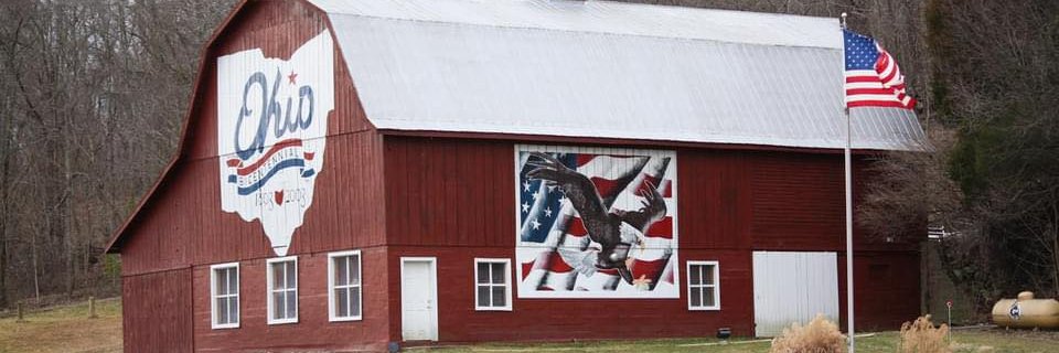 Average Joe's banner