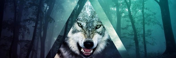 lossp Profile Banner