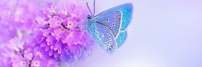 luisagem1's profile banner image