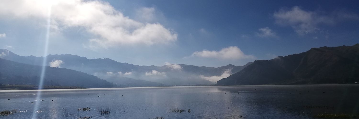 cotecotecootee's profile banner image
