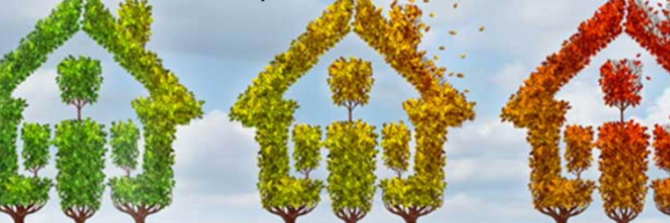 SynergizeLtd's profile banner image