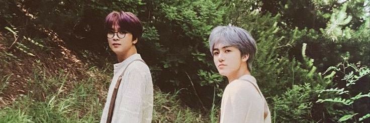 🌻 banner