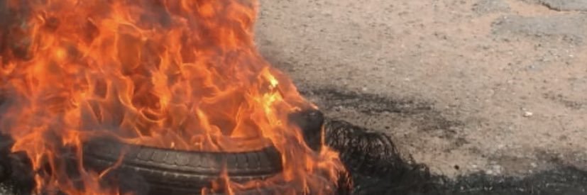 🪴ديموُ banner