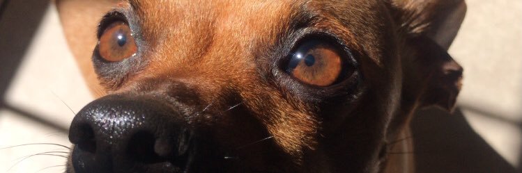 alvesb__'s profile banner image