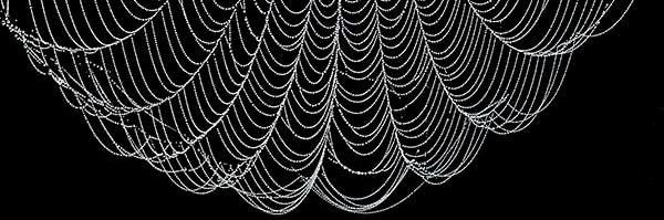 sesaprofen banner