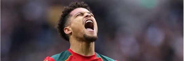 WolfWhoWanders Profile Banner