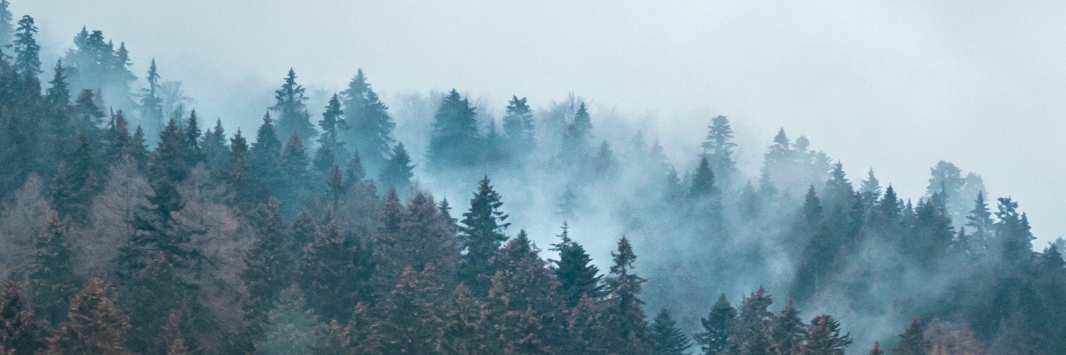 tomasgajar's profile banner image