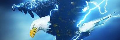 Frabidel banner
