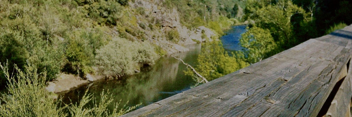 jessicap_costa's profile banner image