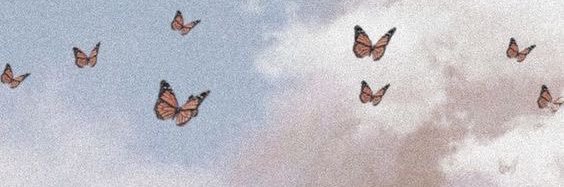 xarthetic's profile banner image