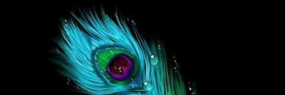 imBimalgiri's profile banner image