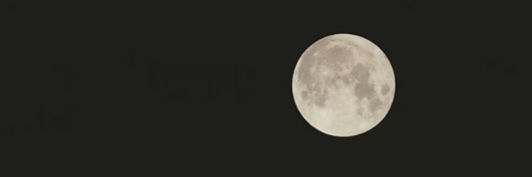raizen1313's profile banner image