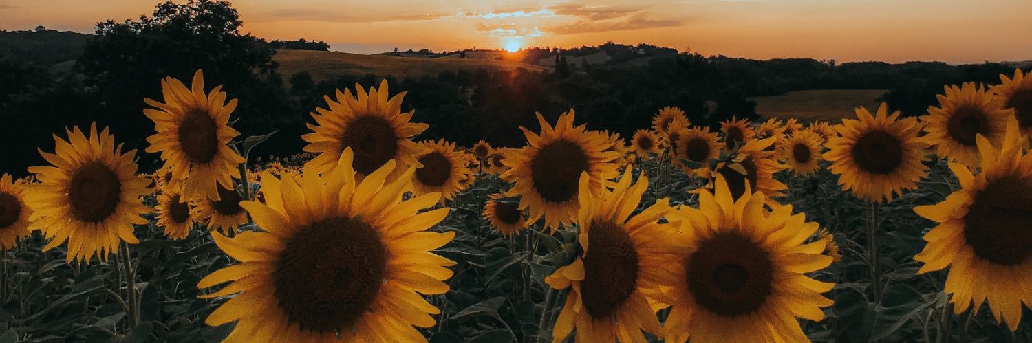 Estefanía Tello🌻 banner