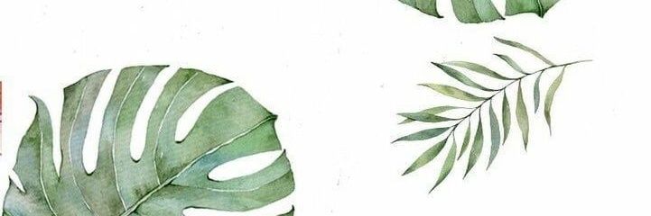 ladydiamont's profile banner image
