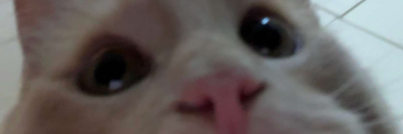 Aimee K banner