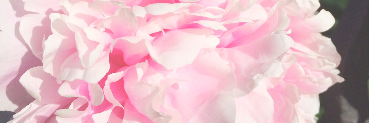 chewytulip's profile banner image