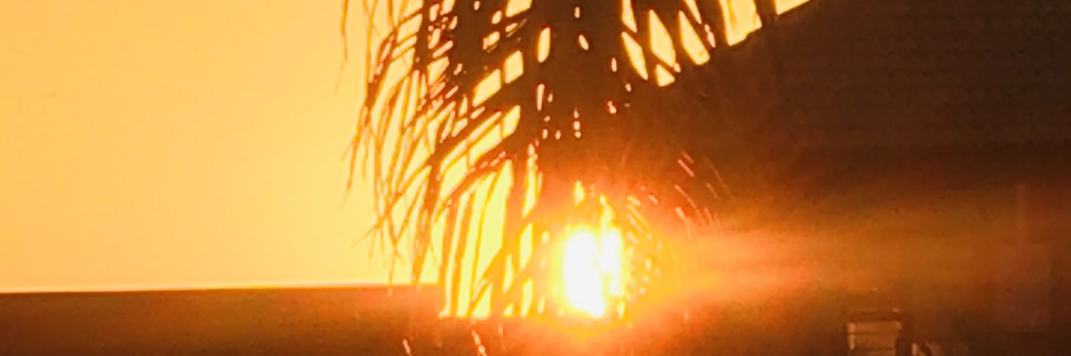 _SIMPLY_F8ZE_'s profile banner image