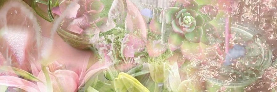 🪷's banner