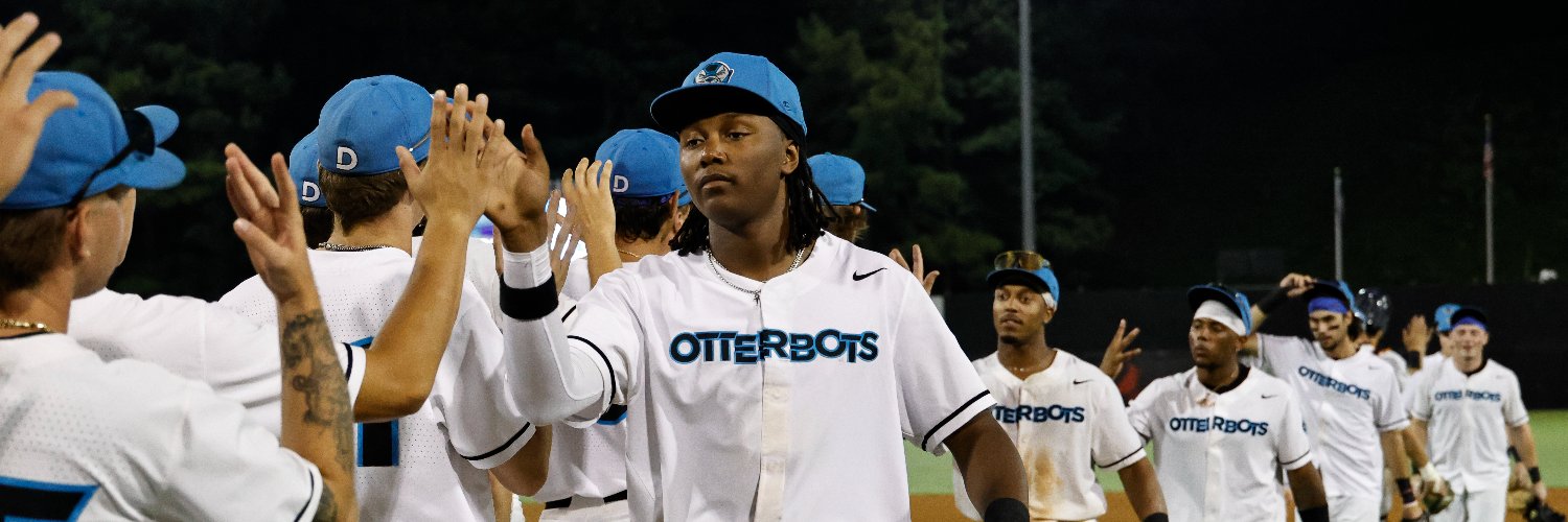 Danville Otterbots banner