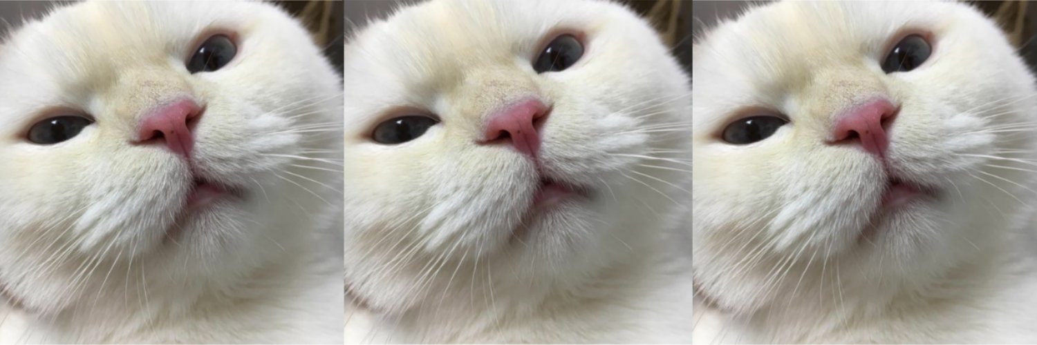 huisspook's profile banner image