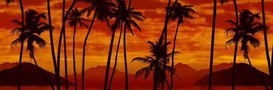 samfrmar's profile banner image