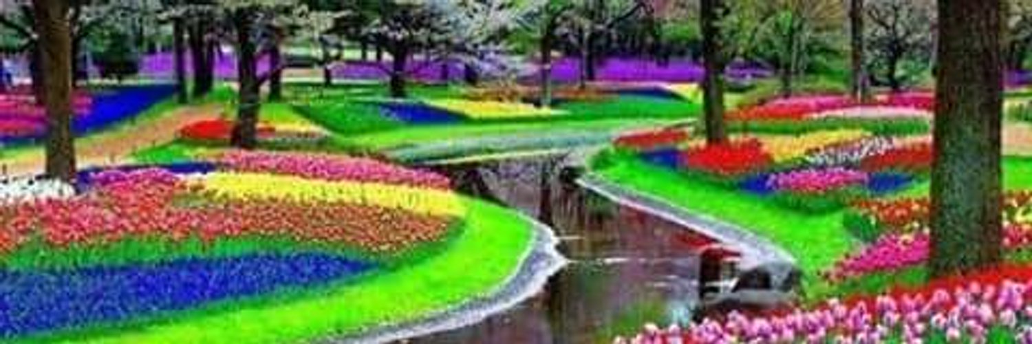 botaniclife194's profile banner image