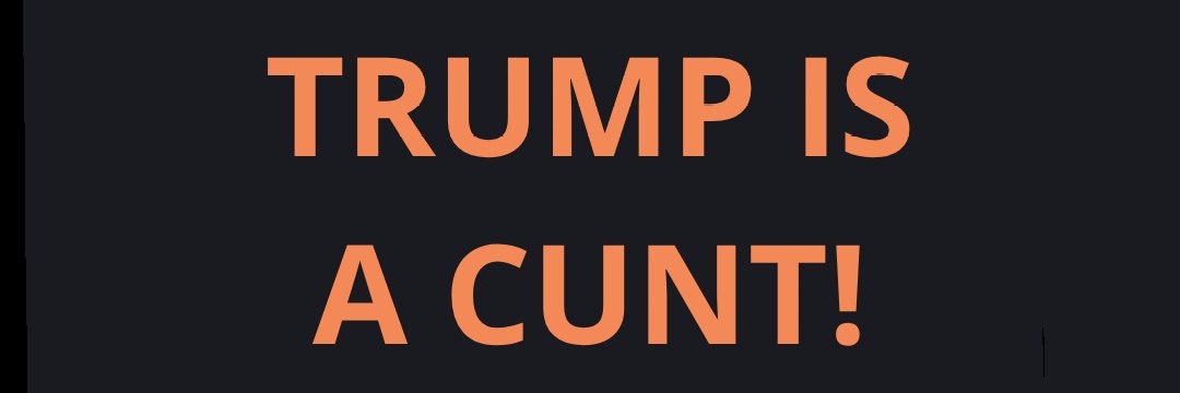 BronzeBully 🍉's banner